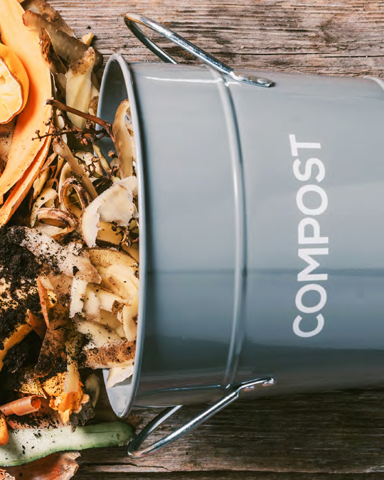 Composting in the Home